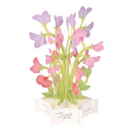 GreetingLife KE-37 Blooming Card Sweet Pea
