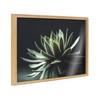 Kate and Laurel Blake Warrior Succulent Framed Printed Glass Natural