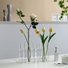Dinyeo Hinged Flower Vase Small Tiny Glass Foldable Test Tube
