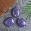 BEZAVO Lepidolite Oval Polished Palm Stone, Healing Crystal Reiki Worry