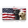 Labradors on American Flag License Plate