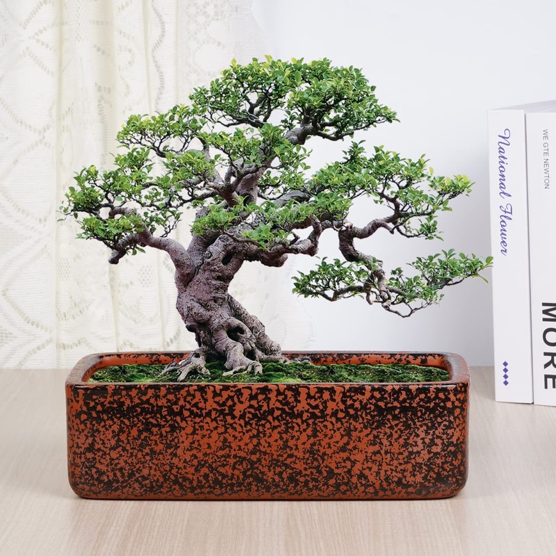 Thirtypot 10 Inch Rustic Black Glaze Rectangular Planters Terracotta Pots