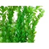 Jumbo Extra Large Tall Plastic Seaweed Aquarium Plant 19-20 Inch