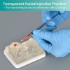 MedEduQuest Transparent Facial Injection Model, Facial Training Nose Model for