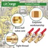 Litorange 1 Pack Lead-Free Brass Mini Ball Valve Shut Off