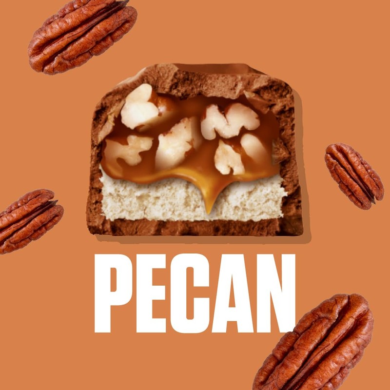 SNICKERS Pecan Milk Chocolate Candy Bar Full Size Singles, 1.41