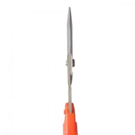 Closest Positive (chikamasa) Stainless Steel Grape Scissor B Care – 500S