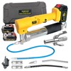 20V MAX Electric Grease Gun Kit with 2 Batteries and