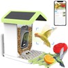 Solar Smart Bird Feeder with Camera with AI Identify Auto