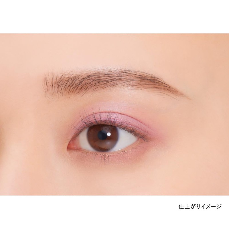 Kanebo Eye Color Duo 22
