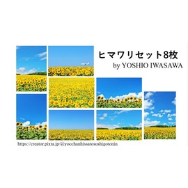 [Summer Postcard Lac et Soleil] Sunflower Post Cart Set of 8 Photo/YOSHIO IWASAWA