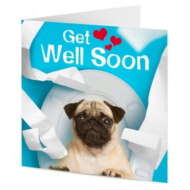 Funny poorly Pug dog sat on the toilet – Get well soon card