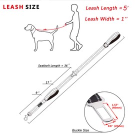 PoyPet - Correa para perro de 5 pies, reflectante, 3 m, 2 asas acolchadas, cinturón de seguridad funcional para coche (azul claro)