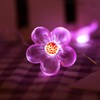 HDNICEZM Flower String Lights，Fairy Pink Cherry Blossom String Lights 21ft