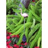 GSL SS-GSL-E2183 Flamingo Stake with Solor Color Changing Light