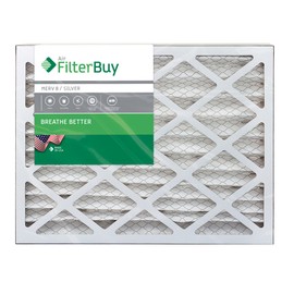 Filterbuy 20x20x4 Air Filter MERV 8 Dust Defense (2-Pack), Pleated HVAC AC Furnace Air Filters Replacement (Actual Size: 19.38 x 19.38 x 3.63 Inches)
