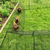 Heavy Duty Chicken Run Tunnel for Yard & Outside, Foldable