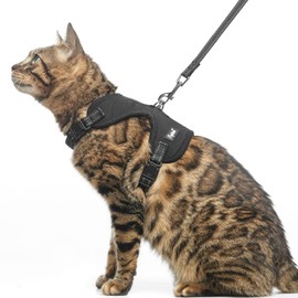 PUPTECK Cat Harness and Leash Set Escape Proof, Reflective Adjustable Soft Mesh Kitten Vest Harness for Walking Travel, Black, S