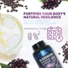 European Elderberry Fruit Extract 1200mg Per Serving Capsules - Sambucus
