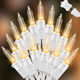 LAMPHOME 100 Mini LED Count Warm White -String Lights - 21.6FT LED Christmas Lights, Mini led Lights for Outdoor Home Holiday Party Wedding Independence Day Decoration