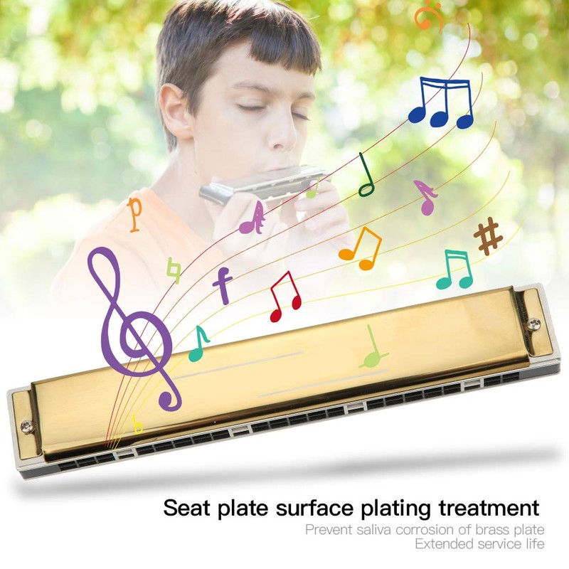 24 Hole Tremolo Harmonica, Professional Tremolo Harmonica Harp Wind Musical