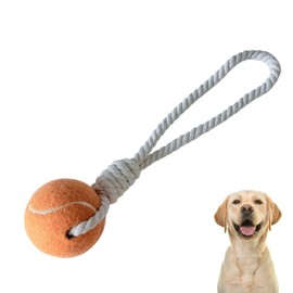 Generisch Dog Toy with Rope and Tennis Ball - Robust and Colourful, for Throwing and Tug Games (Orange)