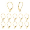TMMATE 100pcs 18K Gold Filled Leverback Earring Hooks, Hypoallergenic French