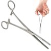 Panther Stainless Steel 6'' 8'' 10''12'' Straight or Curved Fishing