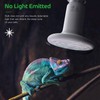 Simple Deluxe 100W Ceramic Heat Emitter Reptile Heat Lamp Bulb