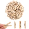 Natural Wooden Small Clips, 100 Pcs Mini Clothespins Clip, Small