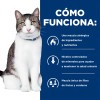 Hills Metabolic Y Urinary Feline 2.8kg Original Sellado