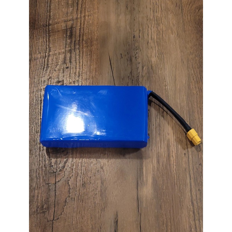 Battery 21.6V 2.5Ah 6S Li-ion Battery Pack w/ XT60 –