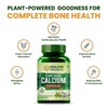  Plant Based Calcium 650mg Supplement for Better Absorption |