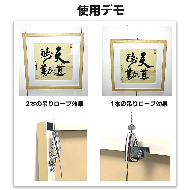 BaraRose Picture Rail Wire Wire Hook Hook Set with Free-Swinging