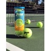 Penn Tribute Tennis Balls