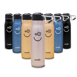 GOODIZ Insulated Thermal Double-Wall Stainless BPA-Free Steel Bottle Flask 600ml (Purple)