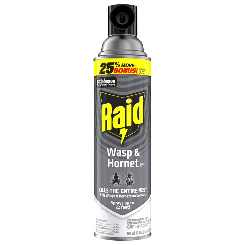 Raid Wasp & Hornet Killer Spray, Bug Killer Kills the