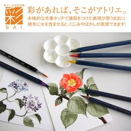 Akashiya Extra Fine Fountain Pen