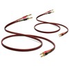 [UCINNOVATE] OFC Oxygen-Free Pure Copper Wire Speaker Cable with Banana