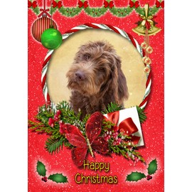 Labradoodle Dog Christmas Card Red 'Happy Christmas' - Special Animal Xmas Card for Him Her from Pets Kids