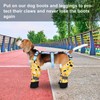 Dog Paw Boot Leggings, Protective Paw Protector Booties, Soft Dog