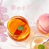 H&F BELX White Peach Ivo Tea Decaffeinated Flavored Tea 2024