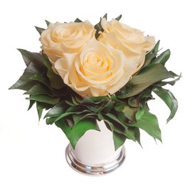 ROSEMARIE SCHULZ Heidelberg Infinity Flowers in Silver Cup 3 Preserved Roses Preserved Bouquet Long Lasting (Beige, 3 Roses)