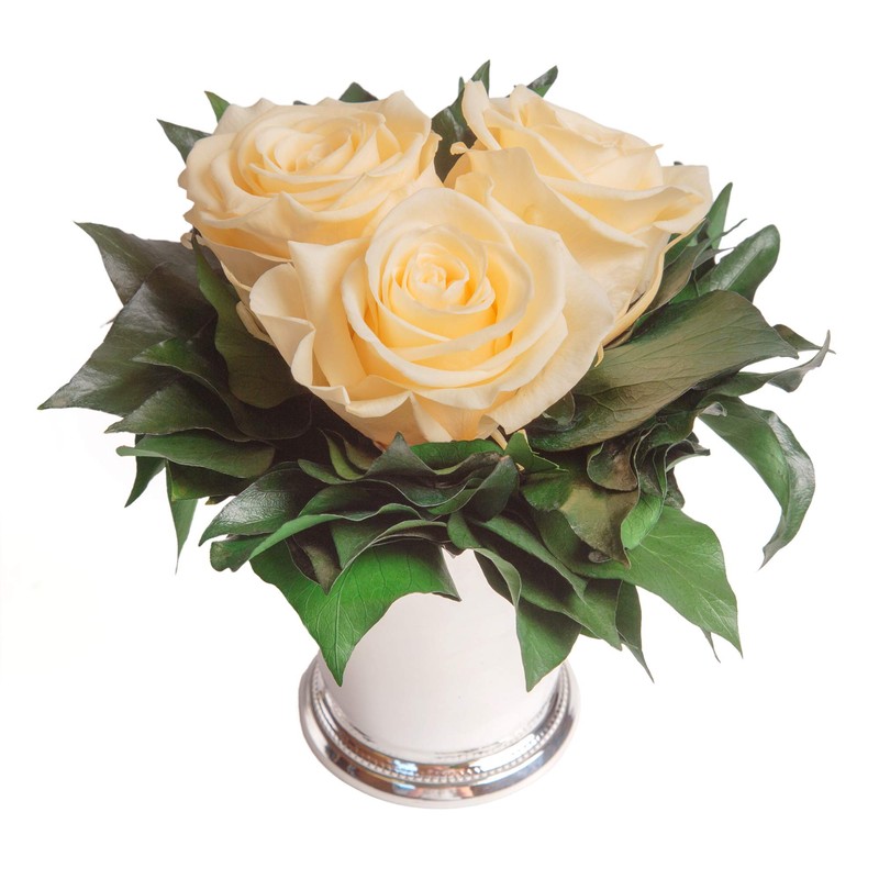 ROSEMARIE SCHULZ Heidelberg Infinity Flowers in Silver Cup 3 Preserved