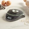 Taylor Precision Products Digital Kitchen Scale, 6.6 Pound Capacity, Silver