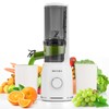 Secura Mesh Free Slow Juicer with Stainless Steel Prong Spiral