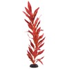 Underwater Treasures Silk Red Hygro - 20"
