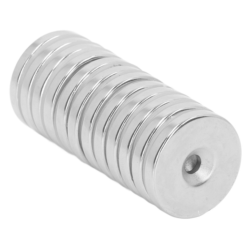 12 Pcs Neodymium Magnet 30x5mm Heavy Duty Strong Magnetism Round