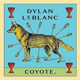 Coyote