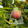 100 Stück Obstschutzbeutel, Netzabdeckungen mit Kordelzug Wiederverwendbare Schädlingsbarriere für Tomaten
